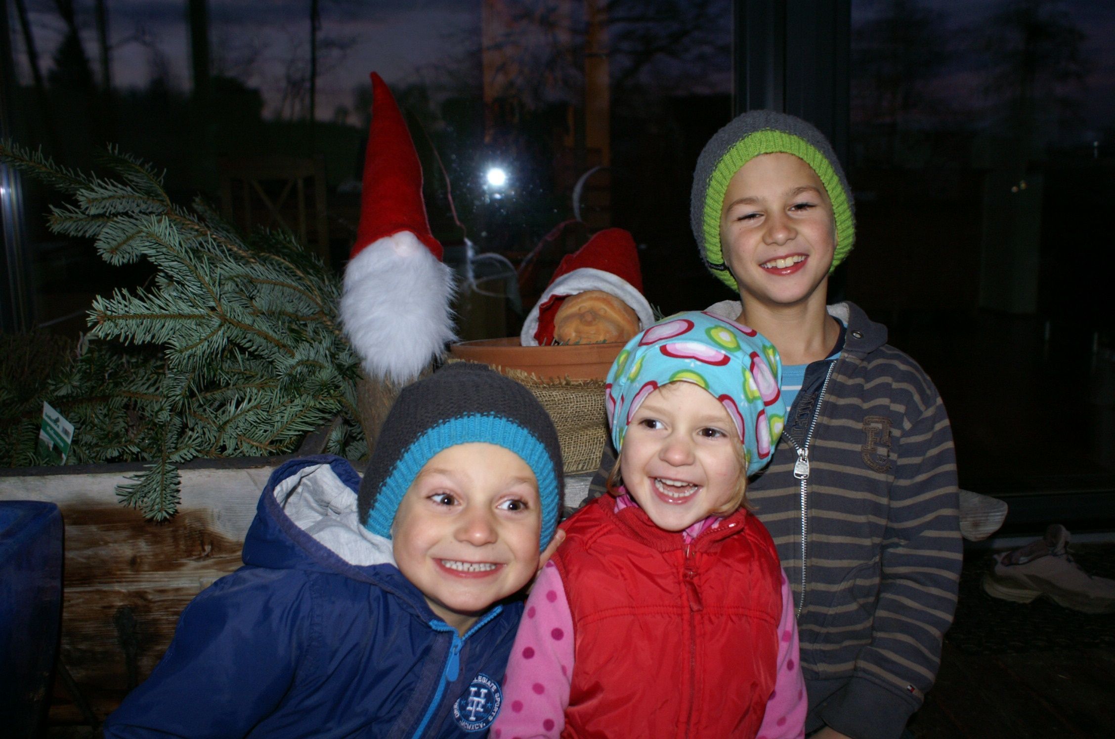 KONICA MINOLTA DIGITAL CAMERA